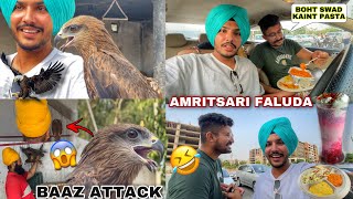 Shikari Baaz 🦅 in amritsar 😱 *Punjabi Vlogger trying Amritsari Falooda || EAGLE🦅