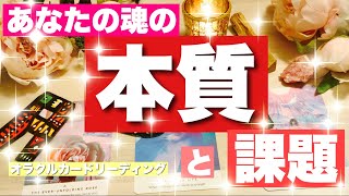 【ガチ鑑定🔥】忖度なし✨🌈あなたの本質と今後の魂の課題🌈✨びっくりするほど当たる⁉️オラクルカードリーディング🌞ホリミホ🌞