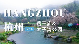 【杭州旅行04】西湖周边有哪些特色的景点？这几个地方别错过！岳王庙|西泠印社|太子湾公园