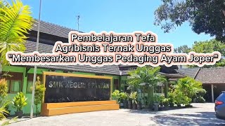 Pembelajaran Tefa Agribisnis Ternak Unggas 