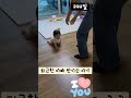 율아일기 아빠가 퇴근을 했어요 딸바보되는이유 244일 8개월아기 baby 육아 shorts