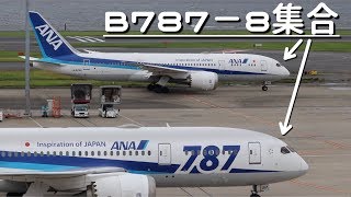 羽田空港に着陸・離陸するANAボーイング787−8集合の巻！