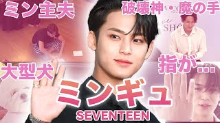 【大型犬ヌナキラー】SEVENTEEN”ミンギュ”のおもしろエピソード50連発！！！