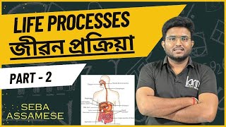 Life Process. জীৱন প্ৰক্ৰিয়া. part 2. 2024 Class 10 Science. Chapter 10