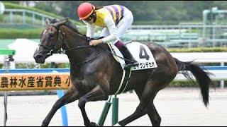 2歳新馬　 芝1200m (右)　セイウンデセオ　牝2　52.0　今村聖奈　2023.8.12　　出走馬：ミライハーモニー、フォルテローザ、テイケイモハラ、ギルティプレジャー、ウインラグラス他