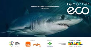 ECO REPORTER | SHARK FISHING, INDIGENOUS DEFENSE AND AFRICAN CULTURE | 02/16/2025