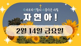 자연아! 2월 14일(금)