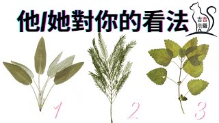 🤍塔羅占卜 | 他/她對你的看法 | 選個當下最想多看幾眼的葉子圖🌿 (Timeless) 【#吉吉49】