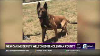 New canine deputy welcomed in McLennan County