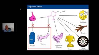 BAS208 - Pharmacology CNS part 2