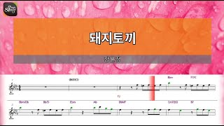 [아싸매직씽] 장윤정  - 돼지토끼  [악보 버전]