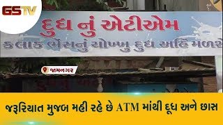 Jamnagar : જરૂરિયાત મુજબ મળી  રહે છે ATM માંથી દૂધ અને છાસ| Gstv Gujarati News