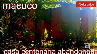 ruínas centenária de macucu