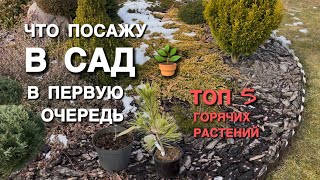 Планы. Что посажу в свой сад в первую очередь?!