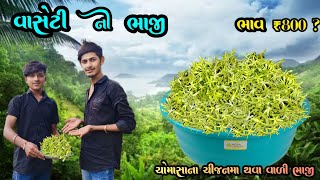 ||વાસેટી ની ભાજી 2024 || વાસેટી ની ભાજી નો 1 kg નો ભાવ શું હોય ?  ₹800 || kevi kevi mushkeli pade||