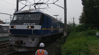 59ﾚ EF210-316号機牽引貨物列車(下り)上地宮前踏切通過