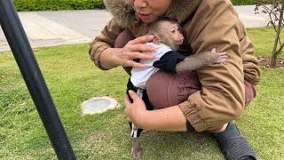 Baby monkey Tina was afraid of being abandoned by her mother and always clung to her.