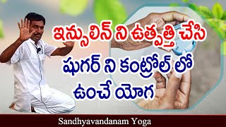 షుగర్ ని కంట్రోల్ లో ఉంచే యోగ | Yoga For Diabetes | షుగర్ ని నియంత్రించే యోగ | Sandhyavandanam yoga