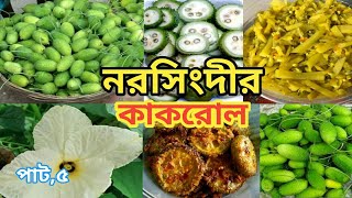 Narsingdi ar kakrul,নরসিংদীর কাকরোল,নরসিংদী থেকে বিভিন্ন দেশে কাকরোল রপ্তানি করা হয়,