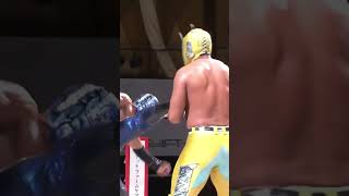 大阪プロレス公式YouTub  アルティメット・スパイダーJr vs ビリーケン・キッド ⑥  #プロレス #大阪名物 #ナニワ