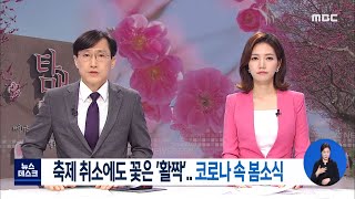 축제 취소에도 꽃은 '활짝'.. 코로나 속 봄 소식-R (210302화/뉴스데스크)