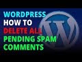 Wordpress how to delete all pending spam comments