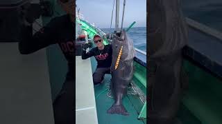 モンスターキャッチ！！深海の巨大魚アブラボーズ！！#駿河富士の漢しゆうご