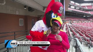 Party with Fredbird! Whoop, whoop!