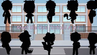 Meet the Ocs(school A.U. restart?)(I go not roots meme)