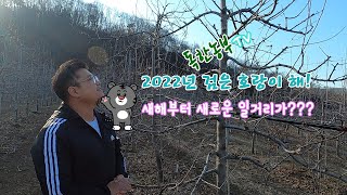 새해부터 새로운 일거리가 등장??! 2022년, 첫번째 이야기!