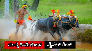 ಮುಲ್ಕಿ ಸೀಮೆ ಅರಸು ಕಂಬಳ || ಫೈನಲ್ ರೇಸ್|| ಮೂಡಾಯಿ - ಪಡ್ಡಾಯಿ ಜೋಡುಕರೆ||mulki kambala Fainal race || #mulki