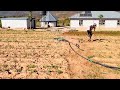 Wedza homestead