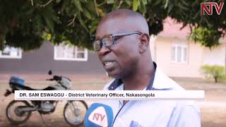 Nakasongola drought bites, farmers advised to vacate