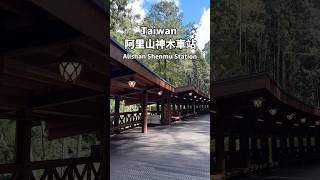 阿里山神木車站 / Alishan Forest Railway #taiwan #taiwantravel #alishan #台灣景點 #嘉義 #旅遊 #대만