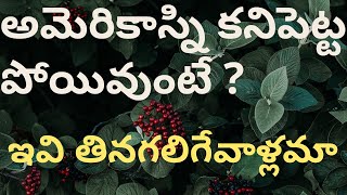 21 Interesting Facts about America in Telugu | అమెరికా గురించి కొన్ని ఆసక్తికరమైయినా విషయాలు