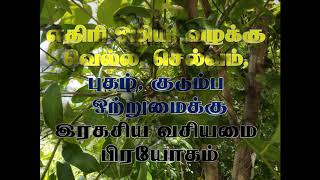 எதிரி ஒழிய || வழக்கு வெல்ல || செல்வம் புகழ் பெற வசியமை பிரயோகம் || satru vasiya mai in tamil ||