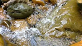 Relax with Whispering Sound of River