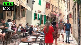 Walking in Kotor, Montenegro: A Breathtaking 4K HDR Experience