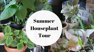 Summer houseplant tour | June/July 2019