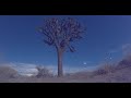 UAP/UFO over Joshua Tree National Park - September 4th 2022