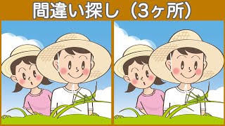 【間違い探し】日々の脳トレで集中力・注意力向上！3つのまちがいを探してね【頭の体操】