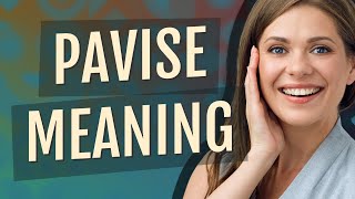 Pavise | meaning of Pavise