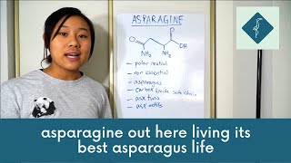 Asparagine: the asparagus boi