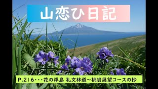 礼文林道桃岩展望コースP. 216花の浮島礼文林道～桃岩展望コースの抄