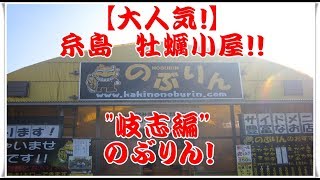 【大人気！】福岡！糸島！牡蠣小屋！岐志　のぶりん！