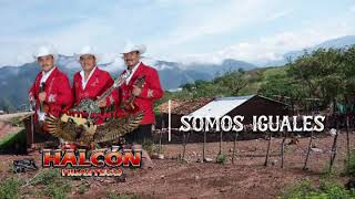Somos Iguales - Trio Halcón Huasteco