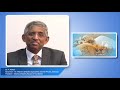 can i take honey if i have diabetes diabetes myths busted dr v mohan diabetologist