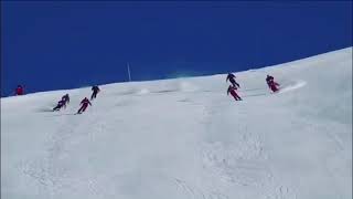 Swiss Snow Demo Team : Formation skiing