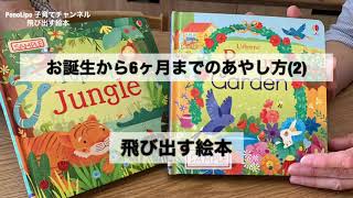 PonoLipo 子育てチャンネル　6ヶ月までの赤ちゃんにおすすめの飛び出す絵本