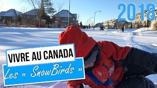 Vivre au Canada : Les Snowbirds (2018)